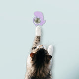 Maxbell Maxbell Natural Catnip Balls Removable Healthy Rotating for Playing Grinding Licking Purple