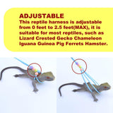 Maxbell Traction Rope Luminous Belt for Turtle Amphibians Bearded Dragon blue