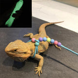 Maxbell Traction Rope Luminous Belt for Turtle Amphibians Bearded Dragon blue