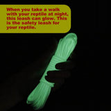 Maxbell Traction Rope Luminous Belt for Turtle Amphibians Bearded Dragon blue