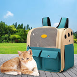Maxbell Pet Carrier Collapsible Multifunction Portable for Outdoor Use Kitten Puppy