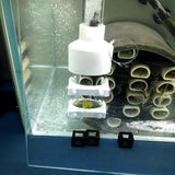 Maxbell Maxbell Fish Egg Incubator Tumbler Breeding Mouth 50mm for Ornamental Fish