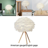 Maxbell Maxbell Elegant LED Feather Table Lamp Desk Light Lamp for Study Room Bedroom