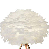 Maxbell Maxbell LED Feather Table Lamp Desk Light Romantic Lighting for Study Room Decor