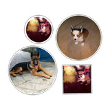 Maxbell Maxbell Adjustable Dog Ears Stand up Support Ear Sticker Tape Assist Erected Ear Care Large