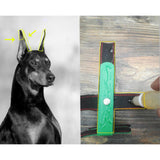 Maxbell Maxbell Pet Ear Stand up Support Ear Corrector Ear Sticker for German L