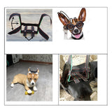 Maxbell Maxbell Pet Ear Stand up Support Ear Corrector Ear Sticker for German L