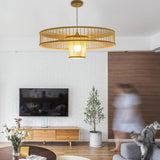Maxbell Pendant Ceiling Light Shade Chandelier Light Cover for Hallway Ornament 60cmx19cm