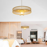 Maxbell Pendant Ceiling Light Shade Chandelier Light Cover for Hallway Ornament 60cmx19cm