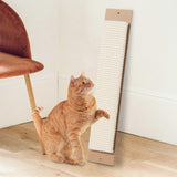 Maxbell Cat Scratcher Interactive Play Toy Grind Claws for Indoor Cats