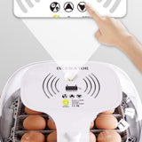 Maxbell 16 Eggs Incubator Egg Turner Tray Digital Temperature Control for Chicken