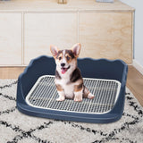 Maxbell Dog Toilet Litter Pan Training with Protection Wall Every Side No Blue