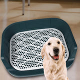 Maxbell Pet Litter Tray Cat Potty Toilet Small Animals Litter Dog Pan Litter Box Blue