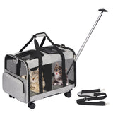 Maxbell Double Compartment Pet Carrier Ventilated Breathable for Taking A Walk