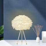 Maxbell LED Feather Table Lamp Desk Lamp Reading Lamp Decorative for Wedding Bar