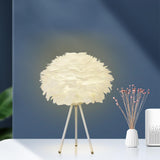 Maxbell Modern Feather Table Lamp Desk Light Romantic Night Lamp for Dresser Dorm