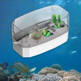 Maxbell Detachable Tortoise Turtle Tank with Water Pump Durable for Small Amphibious Small White