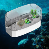Maxbell Detachable Tortoise Turtle Tank with Water Pump Durable for Small Amphibious Small White
