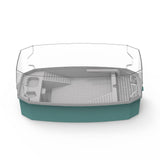 Maxbell Detachable Tortoise Turtle Tank with Water Pump Durable for Small Amphibious Small Blue