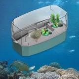 Maxbell Detachable Tortoise Turtle Tank with Water Pump Durable for Small Amphibious Small Blue