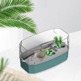 Maxbell Detachable Tortoise Turtle Tank with Water Pump Durable for Small Amphibious Small Blue