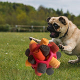 Maxbell Portable Pet Snuffle Ball Encourage Natural Foraging Skills Enrichment Game