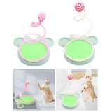 Maxbell Cat Spring Toy exercise Games Scratch Kitty IQ Training Kitten Bouncing Animal
