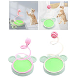 Maxbell Cat Spring Toy exercise Games Scratch Kitty IQ Training Kitten Bouncing Animal