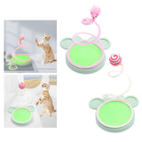 Maxbell Cat Spring Toy exercise Games Scratch Kitty IQ Training Kitten Bouncing Animal