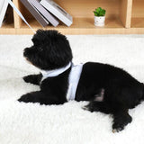 Maxbell Escape Proof Cat Harness and Leash for Small Dogs Cats Pet Supplies Outdoor Pink