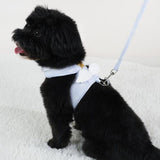 Maxbell Escape Proof Cat Harness and Leash for Small Dogs Cats Pet Supplies Outdoor Blue