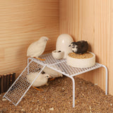 Maxbell Chicken Feeding Platform Organizer Farmhouse Rack for Feeding Supplies