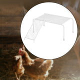 Maxbell Chicken Feeding Platform Organizer Farmhouse Rack for Feeding Supplies