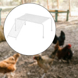 Maxbell Chicken Feeding Platform Organizer Farmhouse Rack for Feeding Supplies