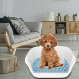 Maxbell Removable Dog Potty Tray Keep Floors Clean with Protection Wall Blue