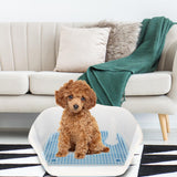 Maxbell Removable Dog Potty Tray Keep Floors Clean with Protection Wall Blue