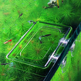 Maxbell Fish Feeding Bracket with Suction Cup Detachable Fish Feeder for Worm Fish Large