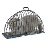 Maxbell Pet Drying Box Shower Doggy Small Animals Travel Bags Cats Dogs Dryer Cage