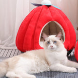 Maxbell Cat Bed Enclosed Pumpkin Shape Small Dog Tent Bed Hideaway S