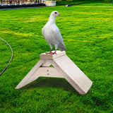 Maxbell Wood Dove Rest Stand Cage Accessories Support for Parrots Canaries Pigeons