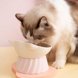 Maxbell Cat Bowl Tilted Dispenser Anti Slip Raised Cat Dishes for Travel Puppy Pink