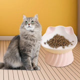 Maxbell Cat Bowl Tilted Dispenser Anti Slip Raised Cat Dishes for Travel Puppy Pink