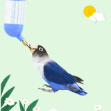 Maxbell Bird Drinker Parrot Waterer Heavy Duty Pet Supplies Container for Cockatiel