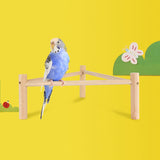 Maxbell Tabletop Bird Stand Perch Playground Pet Parrot Playstand for Canaries