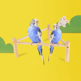 Maxbell Tabletop Bird Stand Perch Playground Pet Parrot Playstand for Canaries