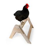 Maxbell Chicken Perch Chick Perch Toys Bird Perch Stand for Large Bird hens