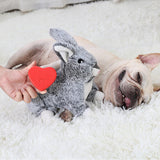 Maxbell Heartbeat Behavioral Aid Pets Stuffed Animal Sleeping Dog Comfort Toy