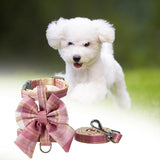 Maxbell Dog Harness and Leash Set Adjustable Dog Harness for Kitty Cat Accessories Pink