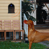 Maxbell Electric Dog Bark Control Device Bark Deterrent Puppy Trainer Tool
