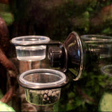 Maxbell Reptile Feeder Suction Cup Food Container for Gecko Bearded Dragon Supplies Black